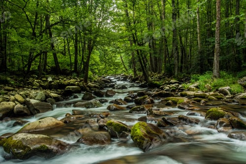 Preview: A Stream Flows Through The Forest In Smoky Mountain National Park Tennessee