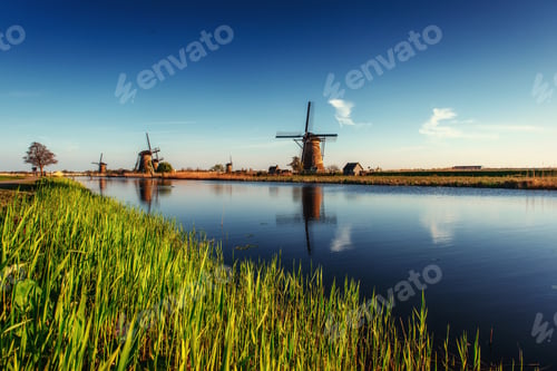 Preview: Colorful spring day with traditional Dutch windmills canal in Ro