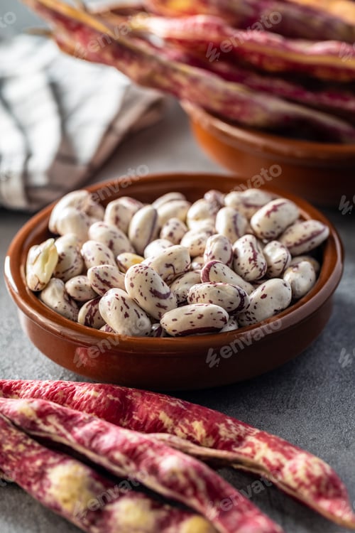 Preview: Cranberry beans. Borlotti beans in bowl. Beans pods.