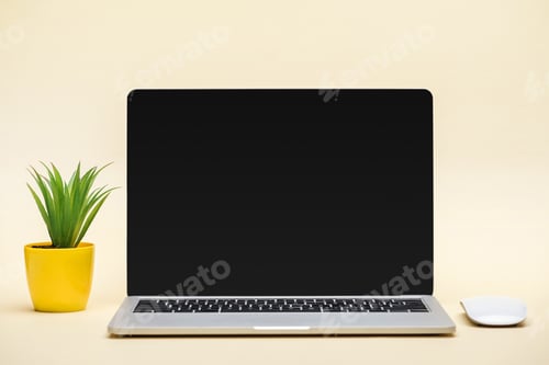 Preview: laptop with blank screen, computer mouse and green plant on beige background