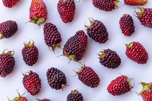 Preview: Fresh Ripe Blackberries Close Up with Natural Texture