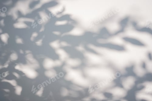 Preview: Shadow of foliage on white background. Overlay.