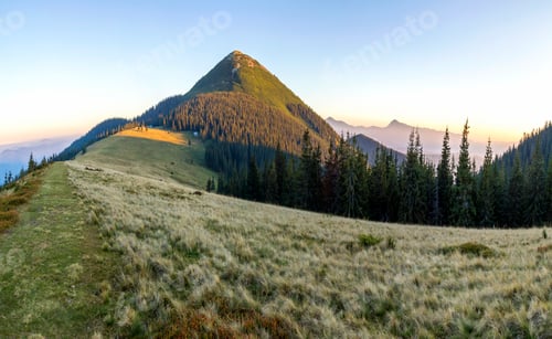 Preview: Grass covered meadow, pine trees and distant mountain peaks.