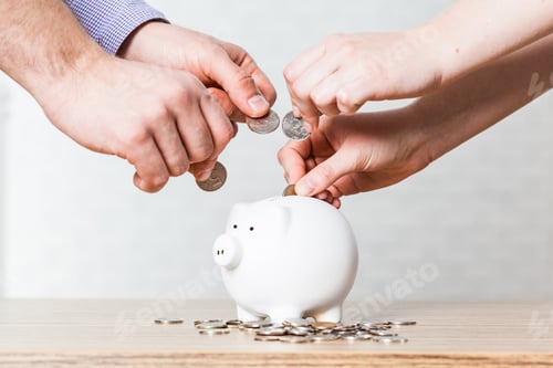 Preview: Inserting a coin into a piggy bank