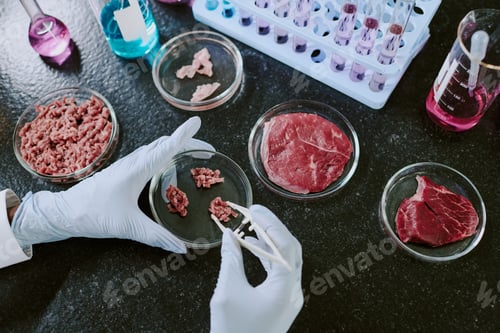 Preview: Examining Meat Samples in Laboratory Environment