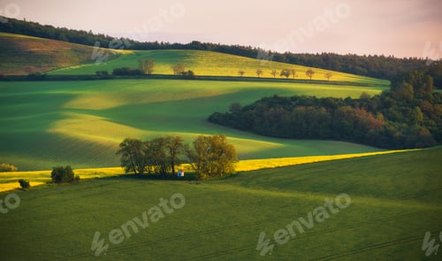Preview: South Moravian landscape in the early spring morning.