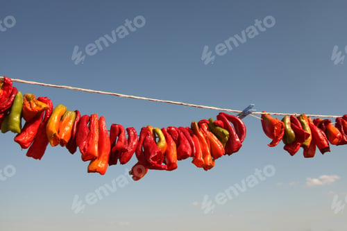 Preview: Hanging Red Dry Peppers