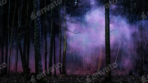 Preview: darkness, forest, horror, spooky