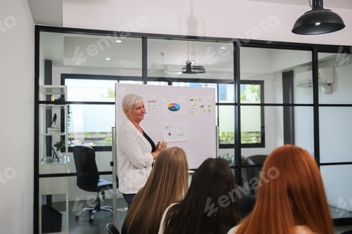 Preview: Professional executive manager briefing her collegues, explaning company strategy