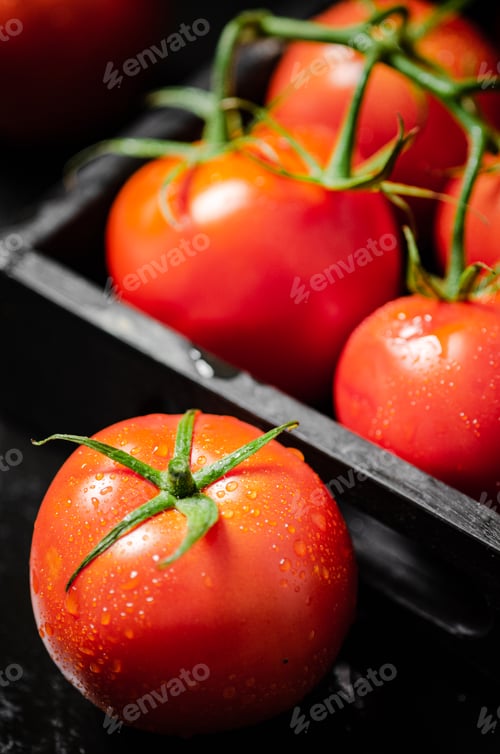 Preview: Fresh tomatoes. On black table.