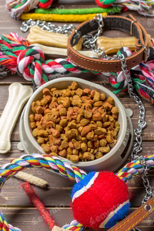 Preview: Pet accessories, food, toy. Top view