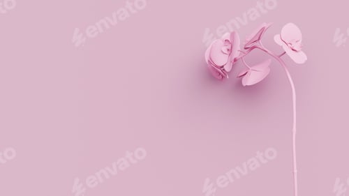 Preview: Pink matte orchids