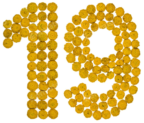 Preview: Arabic numeral 19, nineteen, from yellow flowers of tansy, isolated on white background