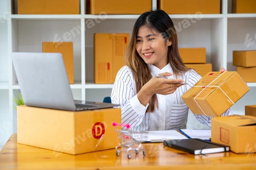 Preview: Starting Small business entrepreneur SME freelance,Portrait young woman working at home office, BOX,