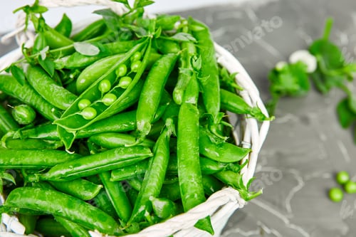Preview: White Basket with fresh green peas on grey background.