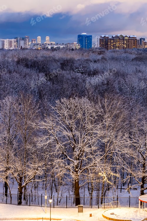 Preview: park and high houses on horizon in winter night