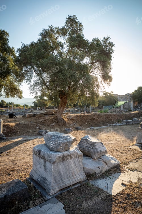 Preview: View of the ruins of Iasos Ancient City in the morning sun. Kiyikislacik, Milas, Mugla, Turkey.