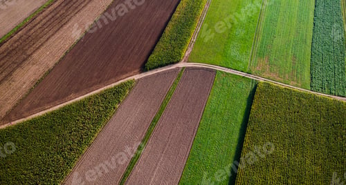 Preview: Agricultural Fields From Aerial Drone View. Colorful Pattern