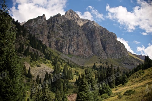 Preview: Beautiful landscape of summer mountains