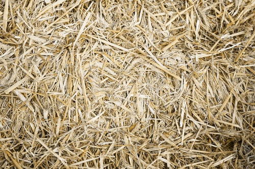 Preview: hay or straw background texture