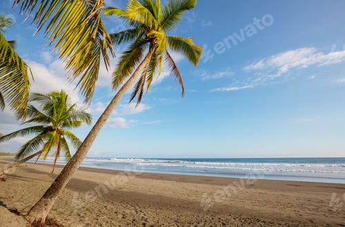 Preview: Tropical beach
