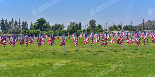 Preview: American Flags standing in a Large Open Grassy Field