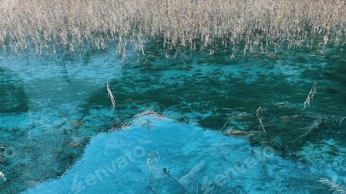 Preview: Water