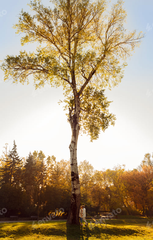 Preview: Young couple in love sitting in a autumn park leaning against a tree embracing one another.