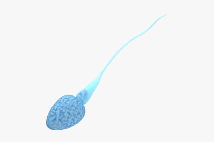 Preview: Light Blue Sperm Cell with Mottled Head and Smooth Tail