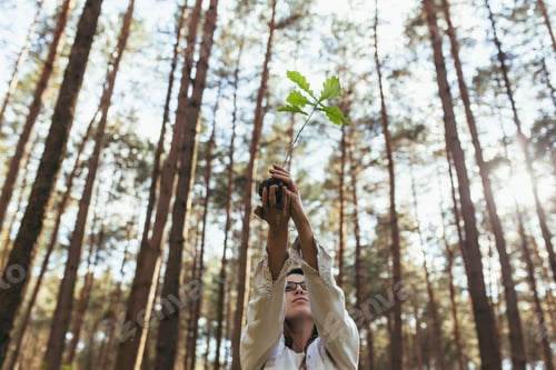 Preview: Young female volunteer plants a forest, holding an oak tree seedling in her hands