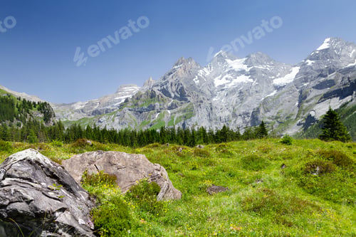 Preview: Swiss Alps mountains and blooming meadow