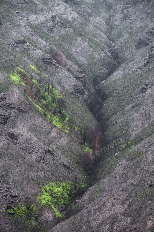 Preview: Landscapes devastated by forest fires in Courel Lugo Galicia