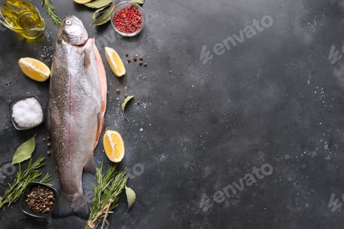 Preview: Delicious trout with aromatic herbs, spices on grey background. Healthy food. Cooking concept.