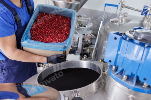 Preview: Worker pouring fresh red berries into industrial food processing machine, factory production
