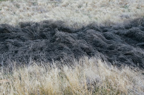 Preview: Near John Day Fossil Beds National Monument