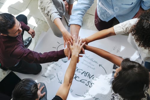 Preview: Diverse startup business team stacking hands