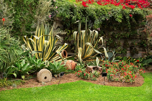 Preview: Tropical garden with various flowers in Lima, Peru