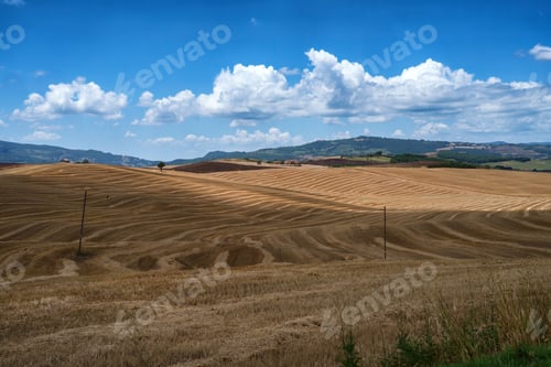 Preview: Rural landscape in Tuscany near Pienza