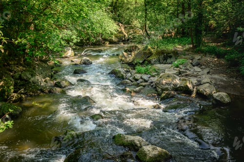 Preview: the nature park rauscherpark in germany