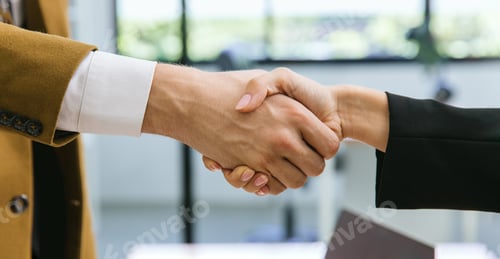 Preview: Business people shaking hands. Businessman shaking hands during a meeting in the office