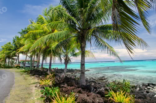 Preview: Beach surrounded by palm trees and the sea under the sunlight in the Savai'i Island, Samoa