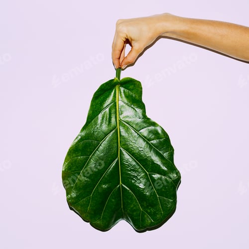 Preview: Leaf. Green concept. Minimal modern art
