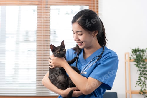 Preview: Veterinarian woman in blue uniform is playing with lovely cat to hugging and stroking while working