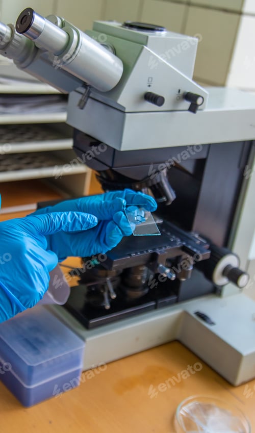 Preview: Examine in the laboratory under a microscope. Selective focus.