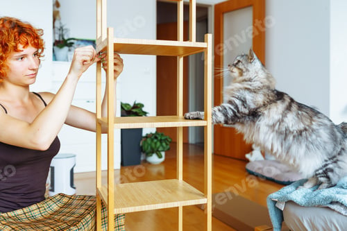 Preview: DIY manual home furniture assembly