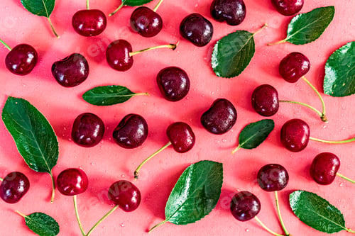 Preview: Sweet ripe cherries and leaves on pink background