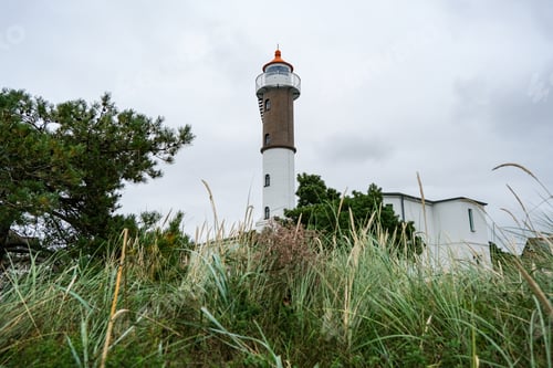 Preview: Low angle of the grass field at the lighthouse in Germany
