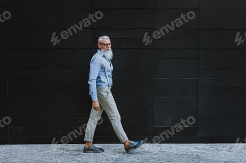 Preview: Senior hipster with stylish beard portraits