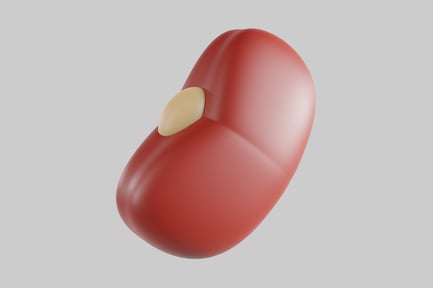 Preview: Red bean with beige protrusion.