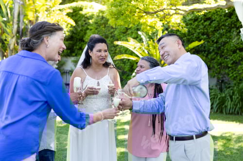 Preview: Seniors enjoying outdoor party, smiling and toasting with champagne glasses